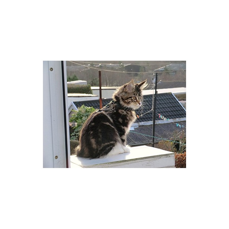 Mynwood Cat Jacket/Harness Green Combat Kitten up to 8month