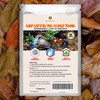 SunGrow Dwarf Frog Mini Catappa Leaves (50 Pc) - Tannin