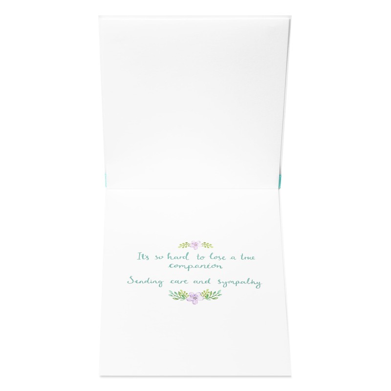 Papyrus Pet Sympathy Card (A True Companion)