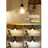 CRLight 12W Dimmable LED Large Globe Bulb 100W Equivalent 1000LM,