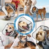 Elizabeth Collar for Dogs and Cats, Suitable for Medium and