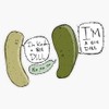 Magnet Pickles Magnet Bumper Sticker Car Magnet Flexible Reuseable Magnetic