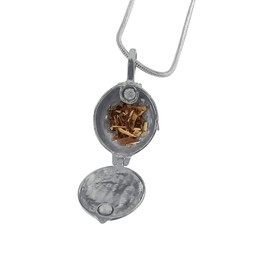 Niche-Finds Vervain Necklace Locket FILLED WITH REAL VERVAIN Verbana
