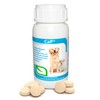 RUILAND Ca-P Suplemento con Vitamina D, Calcio y Fósforo para
