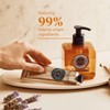 L'OCCITANE - Liquid Soap Hands and Body Shea Butter Lavender