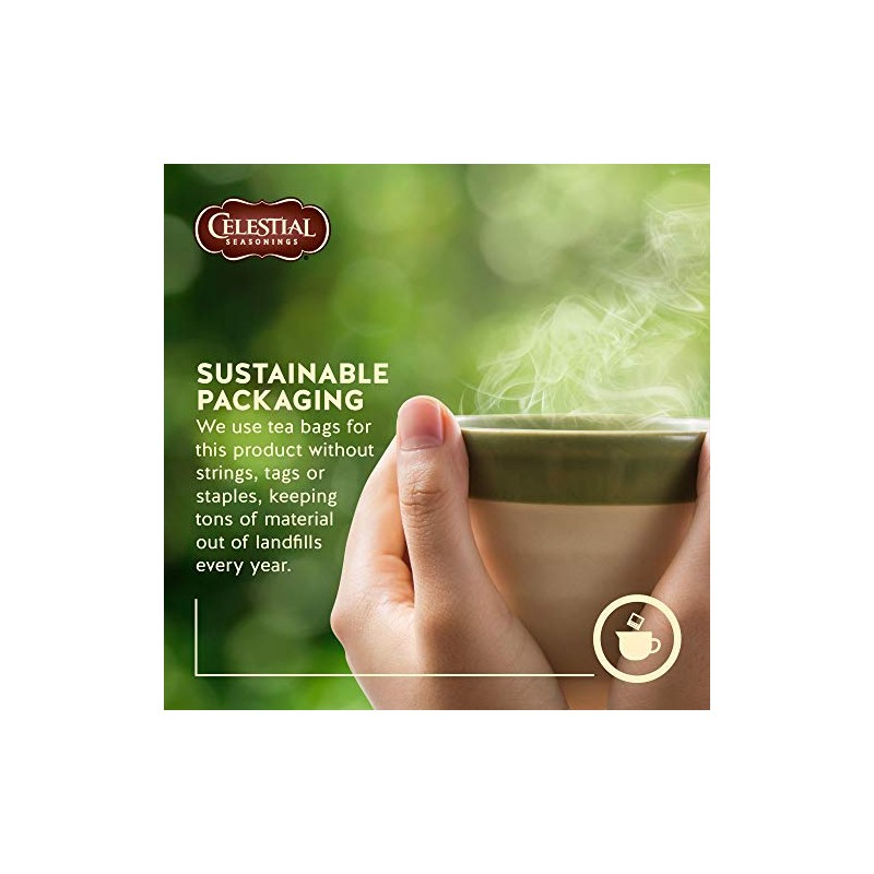 Celestial Seasonings Sleepytime 29g