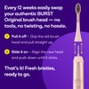 BURST Genuine Replacement Heads for Original Sonic Electric Toothbrush (Rose
