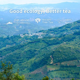 XI HETANG Black Tea Bags - 100 Count Individually Wrapped for Fresh & Smooth Taste. Ancient Tree Chinese Black Tea for Hot or Iced Brewing. Bulk Sweetness & 100% Natural Breakfast Tea Bags.