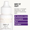 Dry It Out Acne Gel Spot Treatment by Pacifica for