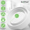 Bed Bug Interceptors – 8 Pack | Bed Bug Blocker