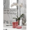 RED VELVET Set de Baño Simply Home de 3 Piezas