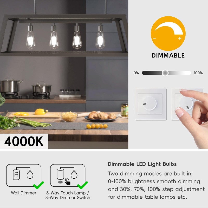 Jensense Edison LED Light Bulbs E26 Bulb 60 watt Equivalent