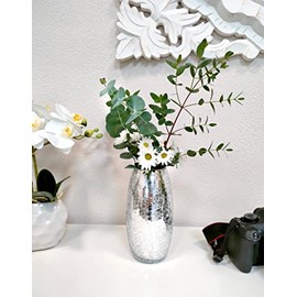 Decorative glass crackle, round, high