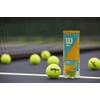 Wilson Profile All Court Tennis Ball - 4 Can Pack,