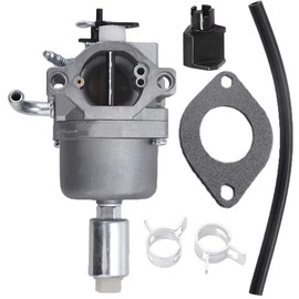 Hoypeyfiy 591731 Carburetor Replacement for BS Lawnmover with Gasket 591731 796109 594593 Lawn Mower Engine Carb