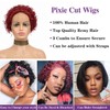 Yiifiulyn Short Pixie Cut Human Hair Wig for Black Women,
