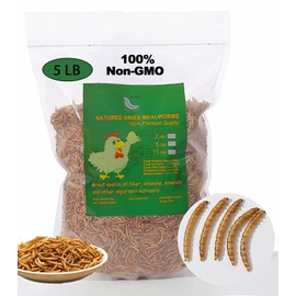 Euchirus Non-GMO High-Protein Large Dried Mealworms for Chickens, Natural Grubs and Poultry Treats as Chicken Feed,Duck Food, Wild Birds Seed,Fish Food,Reptile Food,Amphibian Food(Mealworms-5LB)