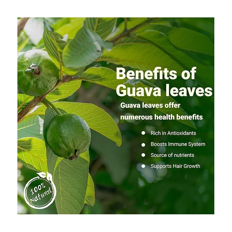 Akshit Organic Guava Leaves, Dried From Fresh Guava Leaves, Caffeine