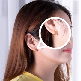 VIKI LYNN 18K Gold Plated CZ Diamond Hoop Pierced Earring for Women Jewelry