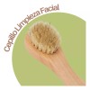 Universo en Linea 2 Cepillos Faciales Exfoliantes Mango Madera Cerda