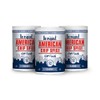 American Chip Spice 3x100g tubs