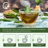 Organic Soursop Leaf Tea Bags | Annona Muricata Herbal Tea