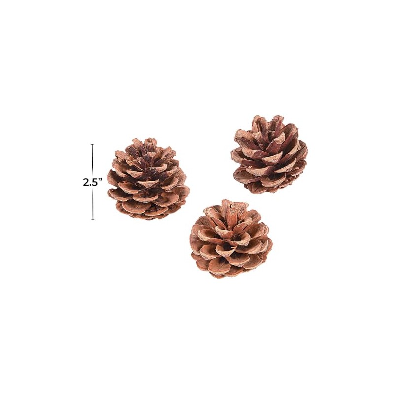 Natural Pine Cones 12Pc - Crafts for Kids and Fun