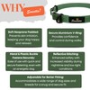 Green Dog Collar Small Dogs – Strong Reflective Adjustable Padded