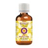 Deve Herbes Pure Moringa Oil (Moringa Oleifera) Natural Therapeutic Quality