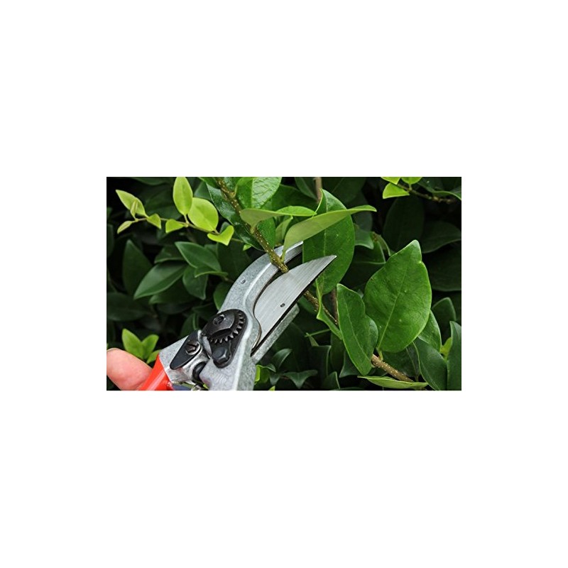 feruko (Felco) Pruning Shears feruko 2