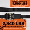 Haccoplanet Ratchet Tie Down Straps, 2340lb Break Strength, 4pc 1inch