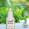 Mighty Mint Peppermint Oil Ant Killer Spray – Natural Ant