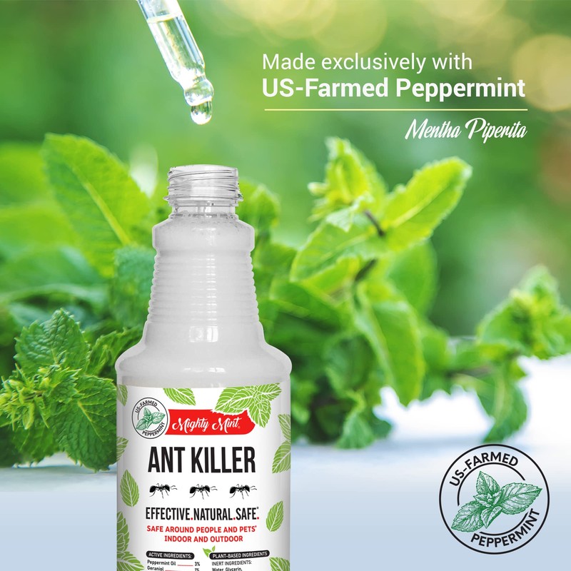 Mighty Mint Peppermint Oil Ant Killer Spray – Natural Ant