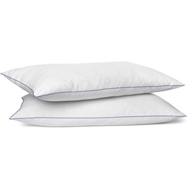 SILUI Flat Soft Thin Pillows Queen Size Set of 2 Pack Bed Pillow with Down Alternative Fill for Side Back Stomach Sleepers, 20x30 Inches, White
