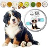 The Blissful Dog The Blissful Dog 8 oz TIN Bernese