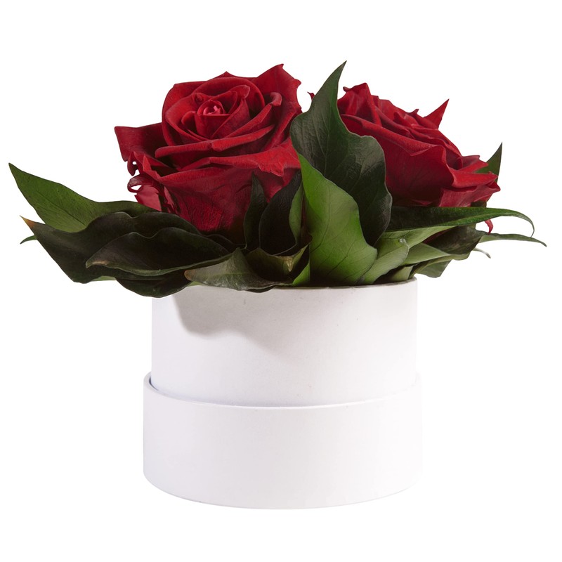 ROSEMARIE SCHULZ Heidelberg Infinity Rose Box White Round Preserved Flowers