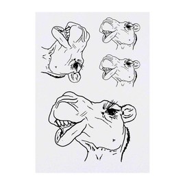 4 x 'Camel Face' Temporary Tattoos - Water Resistant, Skin-Safe, Non-Toxic Transfers, Mixed Sizes (TO00038781)