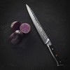 Sasaki Takumi Japanese AUS-10 Stainless Steel Slicing Knife with Locking