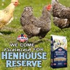 Kalmbach Feeds Henhouse Reserve 17% Whole Grain Complete Layer Feed