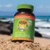 Nutrex Hawaii, Pure Hawaiian Spirulina 500 mg, Vegan, Supports Immune