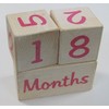 Portrait Prop Age Blocks - Pink - 2 Number Blocks
