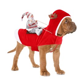 BWOGUE Santa Dog Costume Christmas Pet Clothes Santa Claus Riding Pet Cosplay Costumes Party Dressing up Dogs Cats Outfit for Small Medium Large Dogs Cats