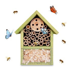 Wooden Insect House – Hanging Bee House Outdoor Solitary Bee Hive for Garden, Natural Beneficial Insect Habitat for Butterfly & Ladybirds Easy to Hang (Light Green)
