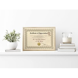 Husband Certificate of Appreciation Valentines Gift Funny Gift for him