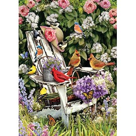 Cobblehill 57191 MO 1000 Summer Adirondack Birds Puzzle, Various