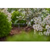 Gardena Micro-Drip System Row Dripper 2 l/h, Pressure Regulating: End