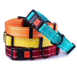 CollarDirect Reflective Dog Collar with Buckle Adjustable Safety Nylon Collars for Dogs Small Medium Large Pink Black Red Blue Purple Green Orange