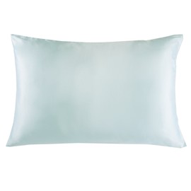 Jasmine Silk 100% Pure Mulberry Silk 19 Momme Charmeuse Silk Pillowcase With Cotton underside for Hair and Skin 1pc 50 x 75 cm Hypoallergenic Envelope Closure (Duck egg)