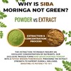 Siba Nutraceutical LLC SIBA Ultra Pure Organic Moringa Capsules 10,000mg