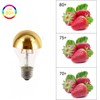Lxcom Lighting A60/A19 Half Chrome Light Bulb 6W (60 Watt